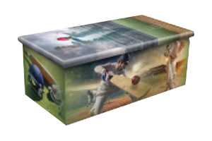 Cricket Urn Cremation